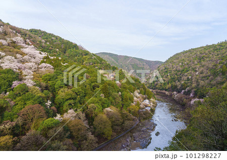 早朝 嵐山公園展望台から望む保津川と春の嵐山 早朝 嵐山公園展望台から望む保津川と春の嵐山 101298227