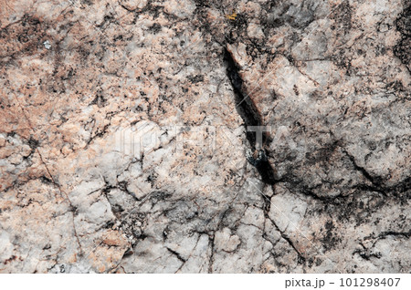 Texture of rugged grey stone 101298407
