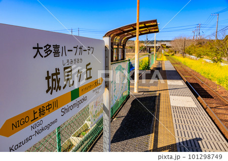 千葉県　菜の花が咲く城見ヶ丘駅（いすみ鉄道） 101298749