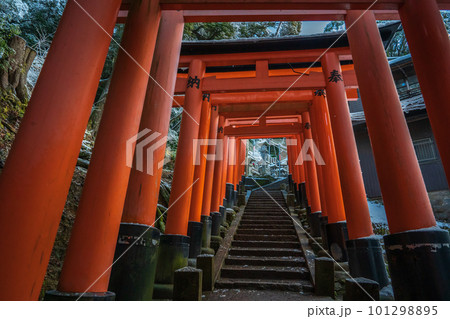 京都市伏見区稲荷大社で撮影した千本鳥居及び境内の風景 京都市伏見区稲荷大社で撮影した千本鳥居及び境内の風景 101298895
