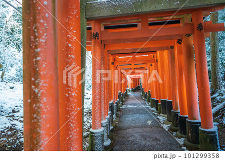 大阪府枚方市の新名神高速道路の建設現場 101299358