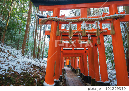 大阪府枚方市の新名神高速道路の建設現場 大阪府枚方市の新名神高速道路の建設現場 101299359