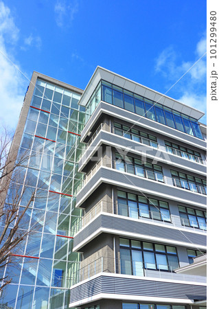 弥富市、弥富市役所の風景 101299480