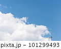 夏の青空と白い雲 101299493