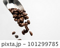 コーヒーメジャーから落ちるコーヒー豆 101299785