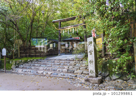 京都 嵯峨野 野宮神社 京都 嵯峨野 野宮神社 101299861