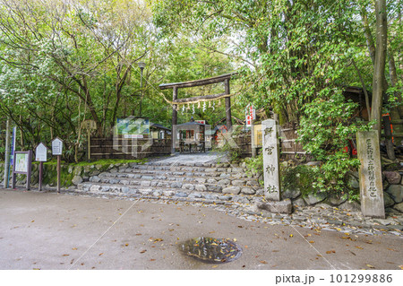 京都　嵯峨野　野宮神社 101299886