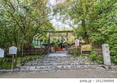 京都　嵯峨野　野宮神社 101299888