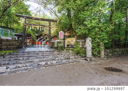 京都　嵯峨野　野宮神社 101299897