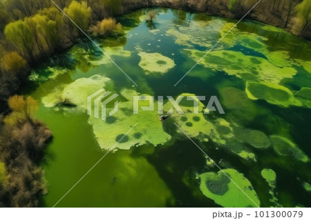 Bird eye view of amazing blooming algae on green river. Earth day concept. Bird eye view of amazing blooming algae on green river. Earth day concept. 101300079