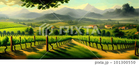 Vineyard Field on hills vector illustration. Artistic landscape with growing 101300550