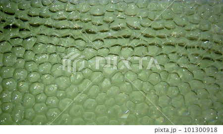 Soap bubbles in a tub of water, macro photo Soap bubbles in a tub of water, macro photo 101300918
