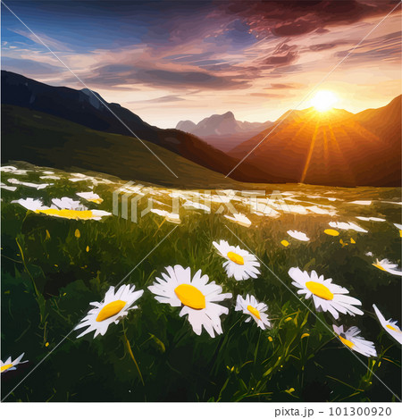 Mountains spring landscape. Mountain green valley with a field of daisies. Mountains spring landscape. Mountain green valley with a field of daisies. 101300920