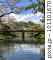三渓園　桜と橋 101301670