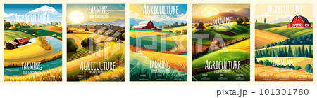 Cover design with concept of agriculture, nature farming. Harvest, field, trees empty vector illustration five Cover design with concept of agriculture, nature farming. Harvest, field, trees empty vector illustration five 101301780