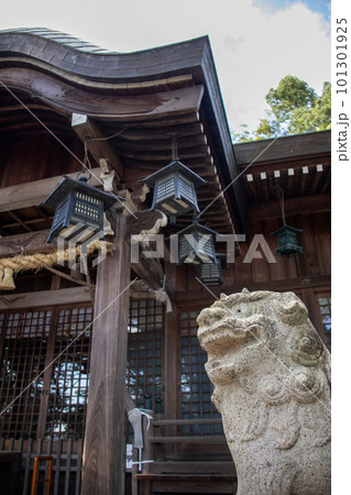 神社の狛犬 神社の狛犬 101301925