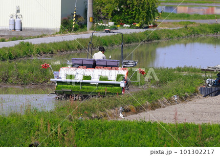 農家のトラクター作業・田んぼの土起こしと整地 農家のトラクター作業・田んぼの土起こしと整地 101302217