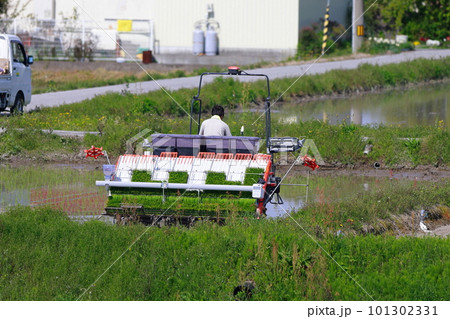田植え機を使った農作業 田植え機を使った農作業 101302331