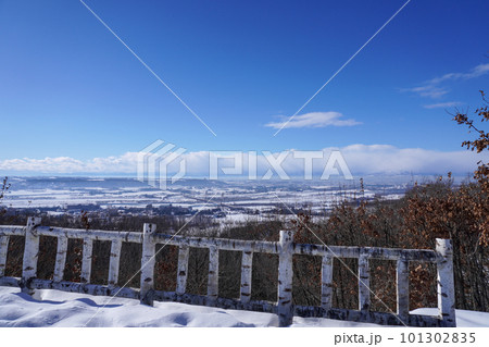冬の十勝が丘展望台からの眺め 冬の十勝が丘展望台からの眺め 101302835