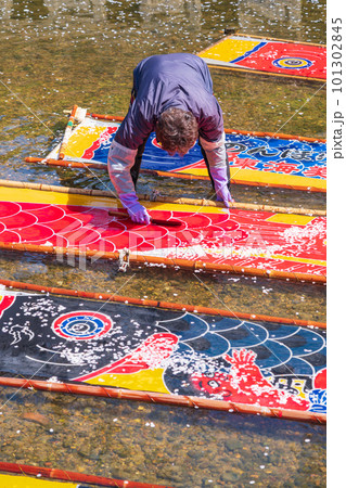 春の五条川、のんぼり洗い〈愛知県岩倉市〉 春の五条川、のんぼり洗い〈愛知県岩倉市〉 101302845