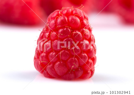 raspberry isolated on white background raspberry isolated on white background 101302941