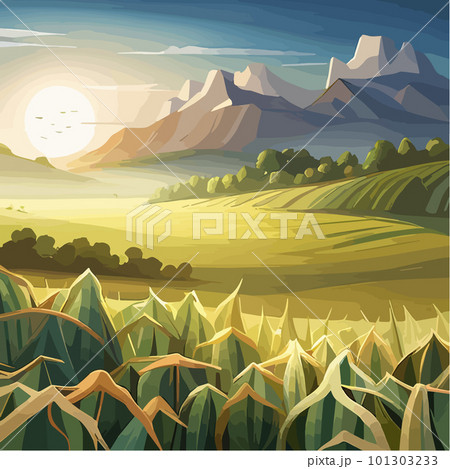 A cornfield with ripe cobs against a blue sky. Background image. Vector 101303233