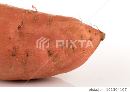 Sweet potato on the white background Sweet potato on the white background 101304107