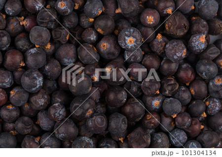 Dried black currant 101304134