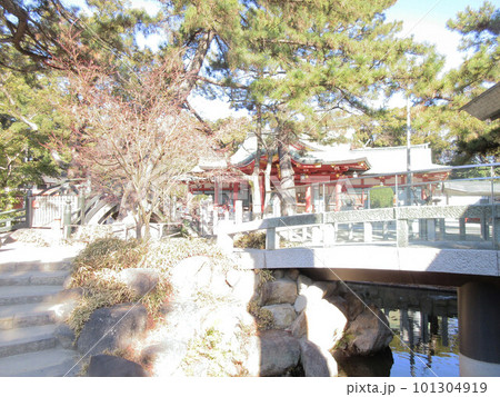 えびす宮総本社　西宮神社(西宮えびす神社)　開門神事福男で有名　瑞寶橋(瑞宝橋)と拝殿　兵庫県西宮市 101304919