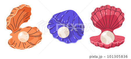 Pearls in seashells. Scallop seashell with pearl, open clam shells, sea shellfish. Ocean fauna flat vector illustration set 101305836