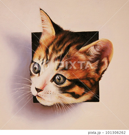 飛び出すシマミケ 101306262