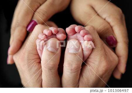 Small feet of a newborn in the hands of parents. Loving palms of the hands of mother and father. Conceptual image of fatherhood. Close-up, selective focus. Professional photography a black background 101306497