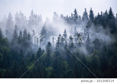 Misty mountain landscape Misty mountain landscape 101306514