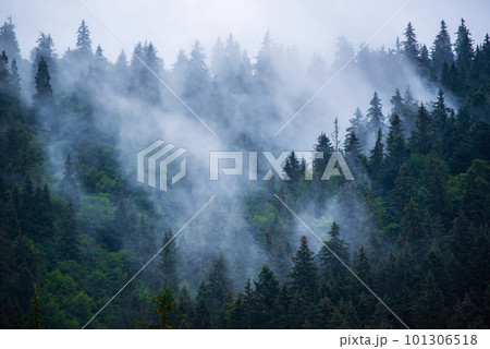 Misty mountain landscape 101306518
