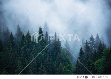 Misty mountain landscape Misty mountain landscape 101306520