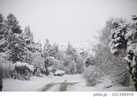 Estate road leading to buildings, covered with a thick layer of snow 101306959