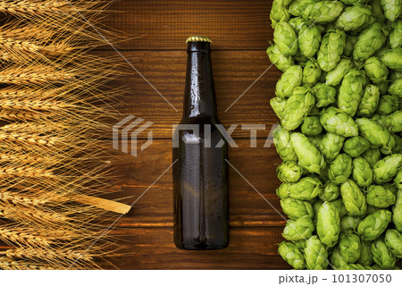 A bottle of beer on a wooden background with green hops and wheat ears 101307050