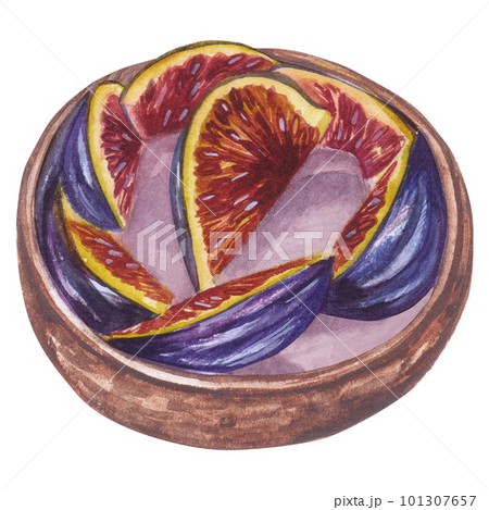 Watercolor illustration cake with figs. Hand painted illustration isolated on white background. 101307657