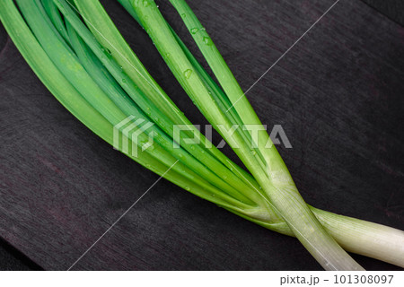 Fresh green onions on a wooden rectangular cutting board Fresh green onions on a wooden rectangular cutting board 101308097