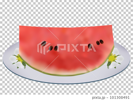 お皿に盛られた「カットした赤色の小玉スイカ」白皿  花柄 101308491