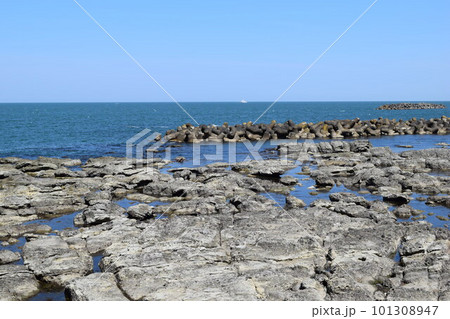 湯野浜海岸の岩場風景 湯野浜海岸の岩場風景 101308947