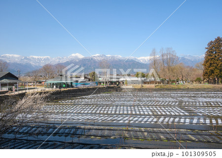 北アルプスとワサビ田【安曇野市穂高】 101309505