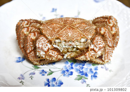 茹でられた毛ガニ 101309802