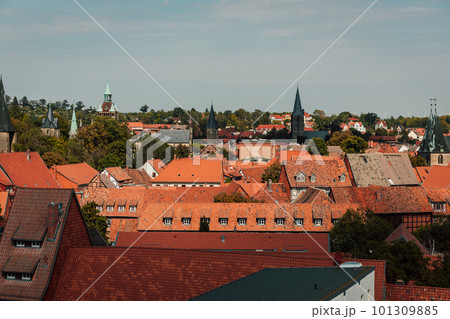 Red roofs of beautiful houses. Top view 101309885