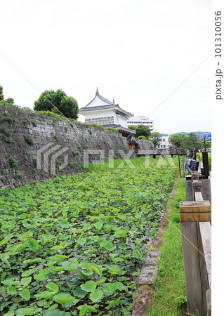 横から眺める初夏の御楼門 101310056