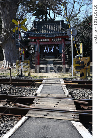 （パワースポット）小さな踏切の参道と小さな神社、踏切を渡る：埼玉県白岡市 鷲神社 101310310