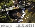 本満寺手水鉢 101310535