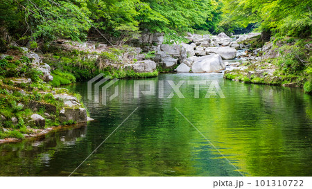 新緑の奥津渓 新緑の奥津渓 101310722