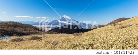 日本　神奈川県足柄下郡箱根町の駒ヶ岳山頂から見える富士山 101311423