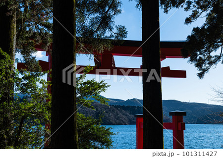 日本 神奈川県足柄下郡箱根町の芦ノ湖と箱根神社の平和の鳥居 日本 神奈川県足柄下郡箱根町の芦ノ湖と箱根神社の平和の鳥居 101311427